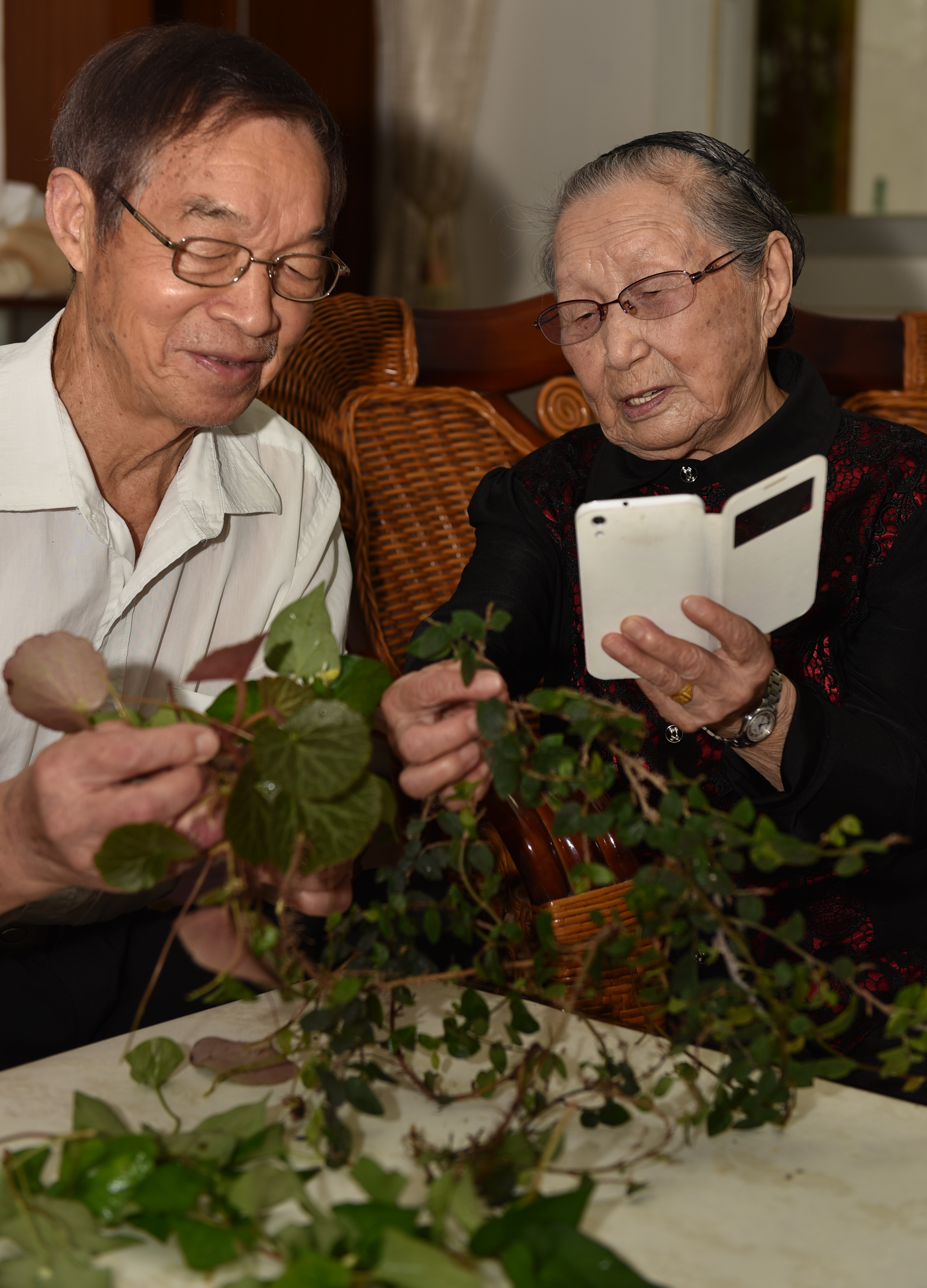 百岁老人的"微信"生活