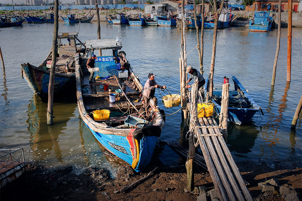 捕鱼人家(组图16幅)
