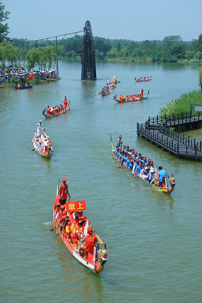 端午赛龙舟