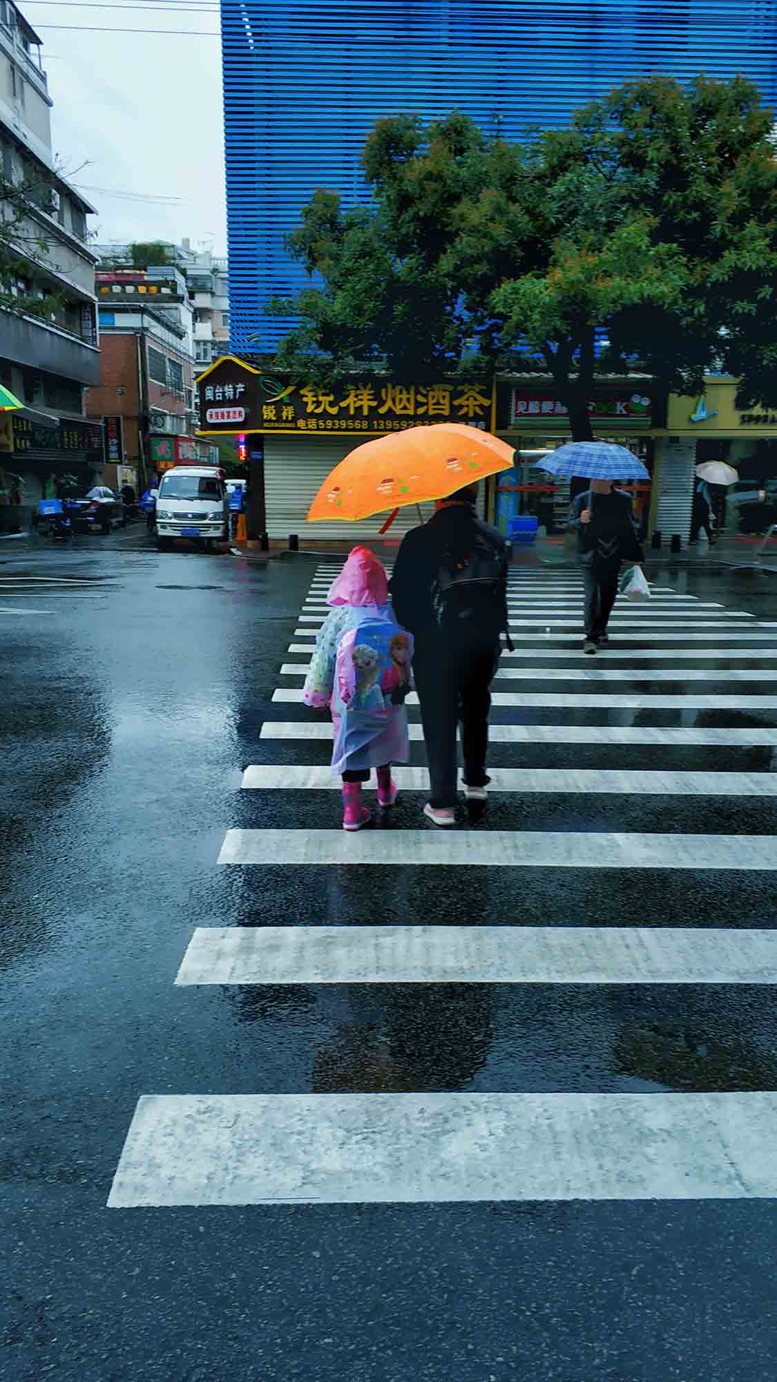 雨中斑马线(一)