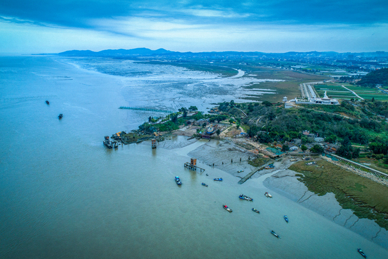 《美景如画》闽江河口湿地美景如画.