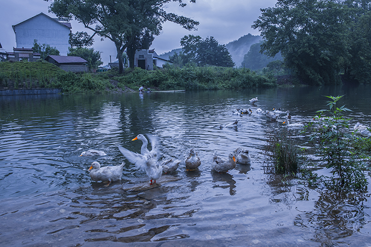 论坛 69 影赛专区 69 "摄影小镇——禅韵宝峰" 全国摄影大展投稿
