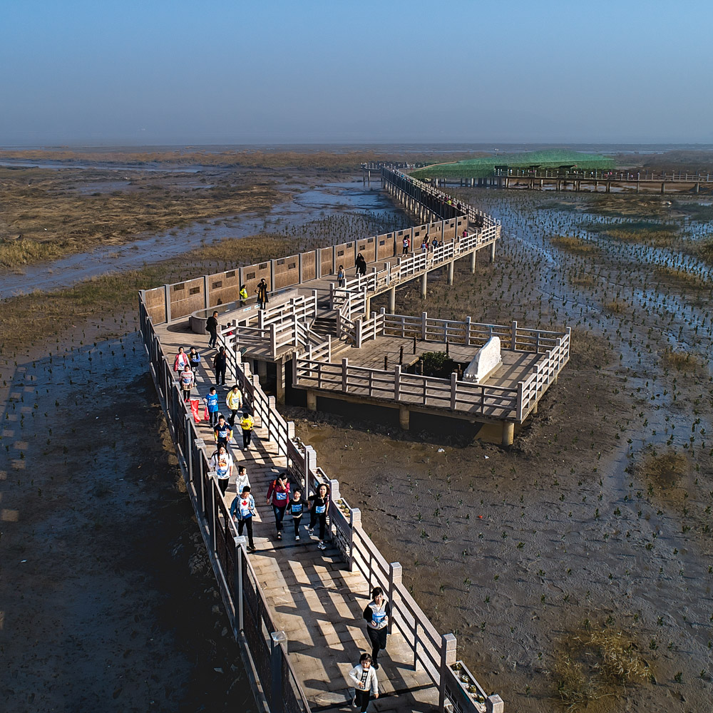 曲折通幽观鸟台-"闽江河口湿地"绿色生态全国摄影大展-大众摄影网
