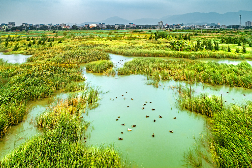 2018年10月27日摄于闽江口湿地公园