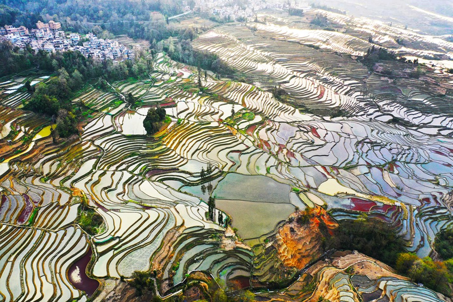 2019年3月10日,拍摄于云南省元阳县哈尼梯田