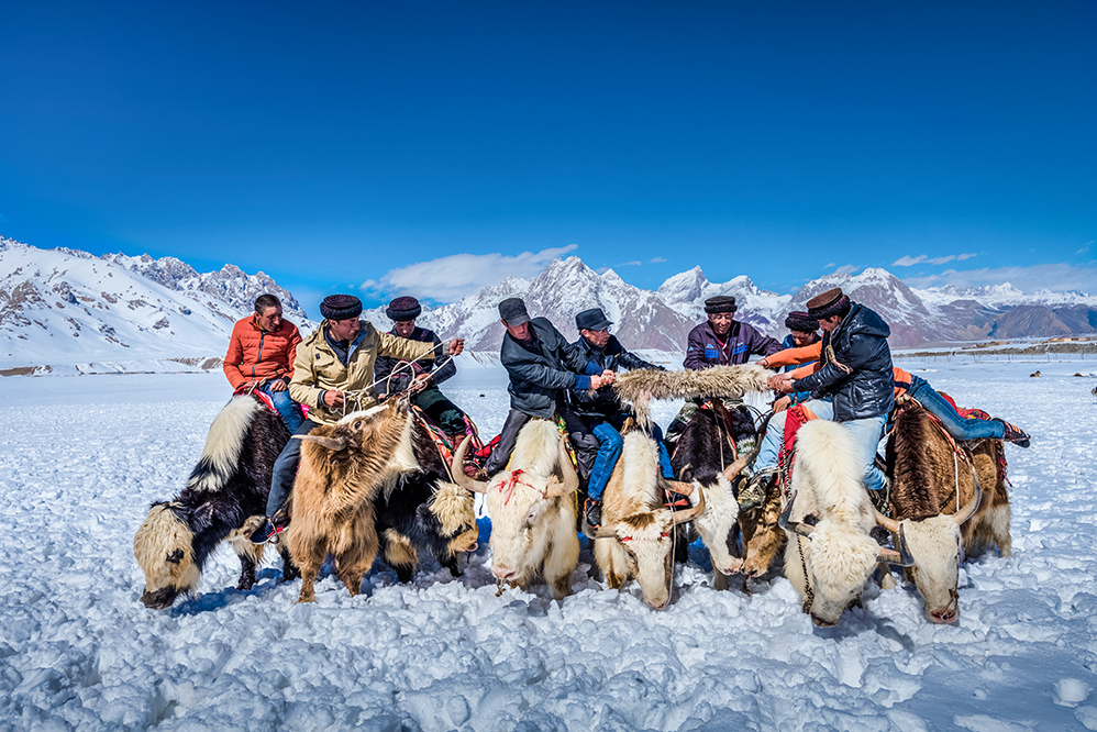 塔县红其拉甫,塔吉克族人们,经常在牦牛背上举办各色各样的比赛活动