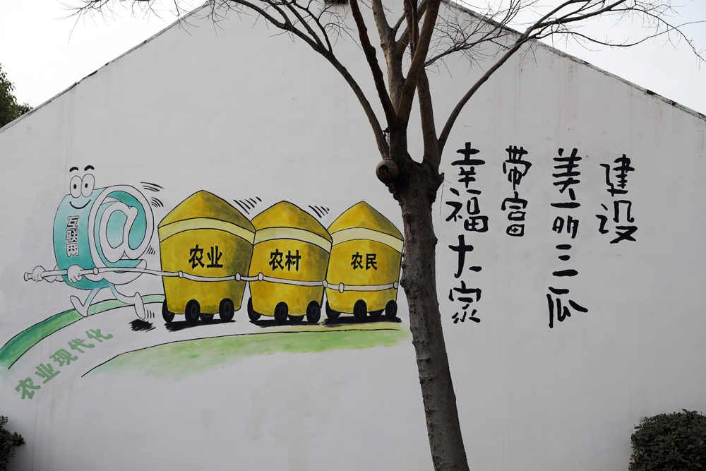 三瓜公社电商画