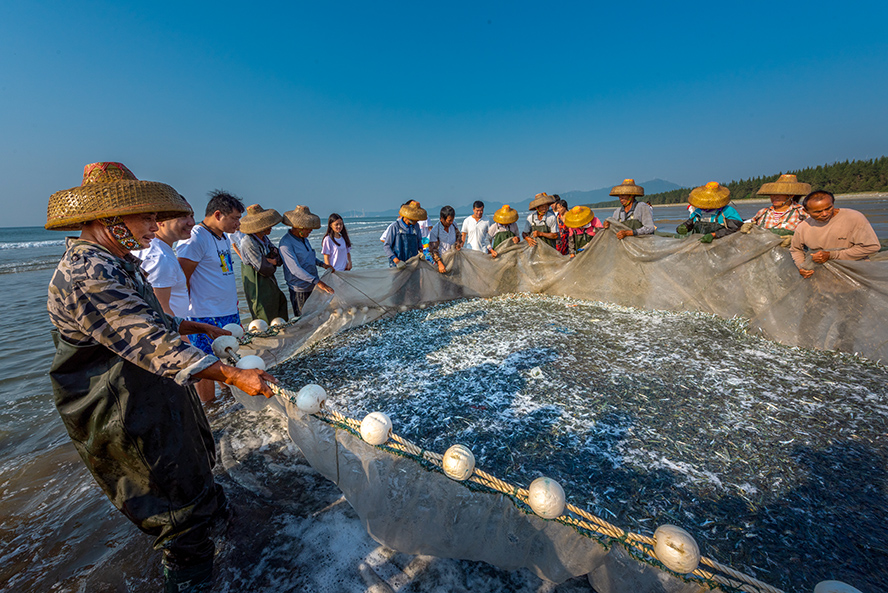 清晨时分,渔民们迎着初升的太阳已在开始拉起了他们丰收的一网