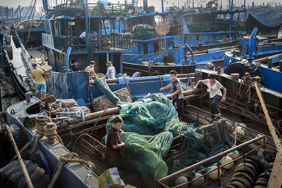 《繁忙的渔港》组照
