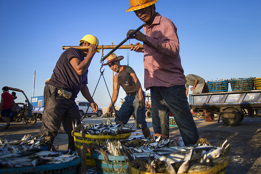 《繁忙的渔港》组照