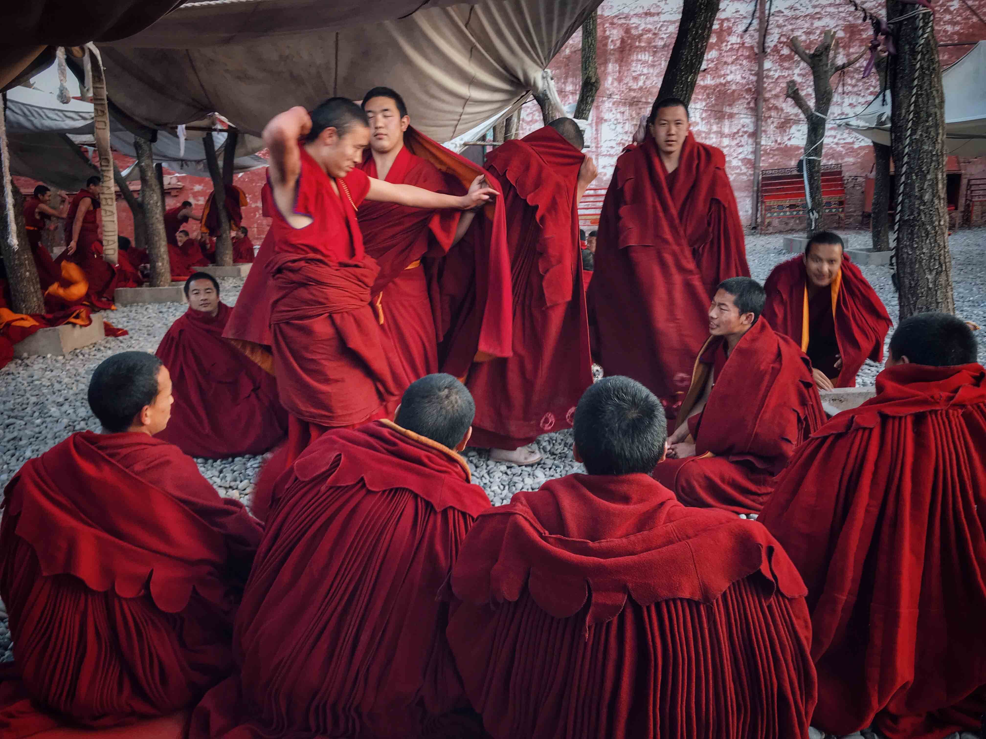 强巴林寺佛学院辩经实拍 op.