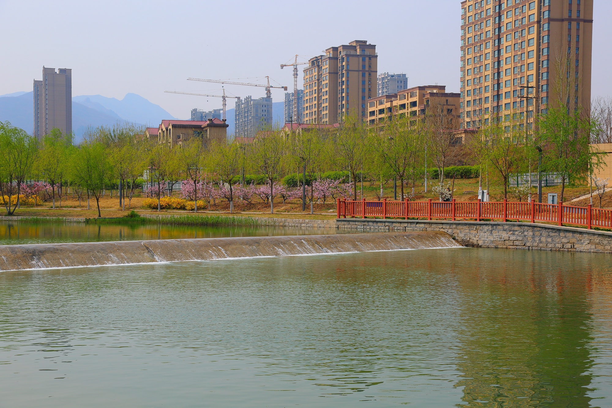 美丽邹平幸福家园