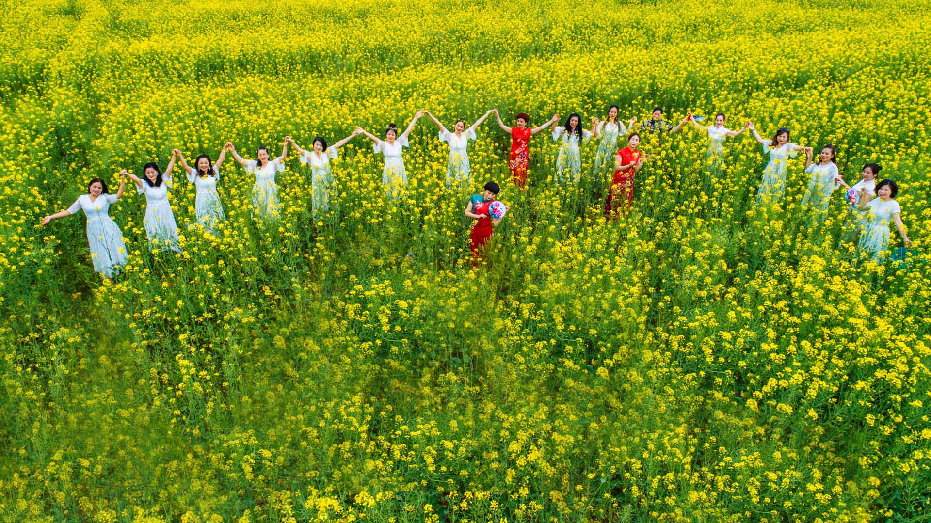 花海春色,摄于2019年福建省连江县马鼻镇村前村油菜花海.jpg