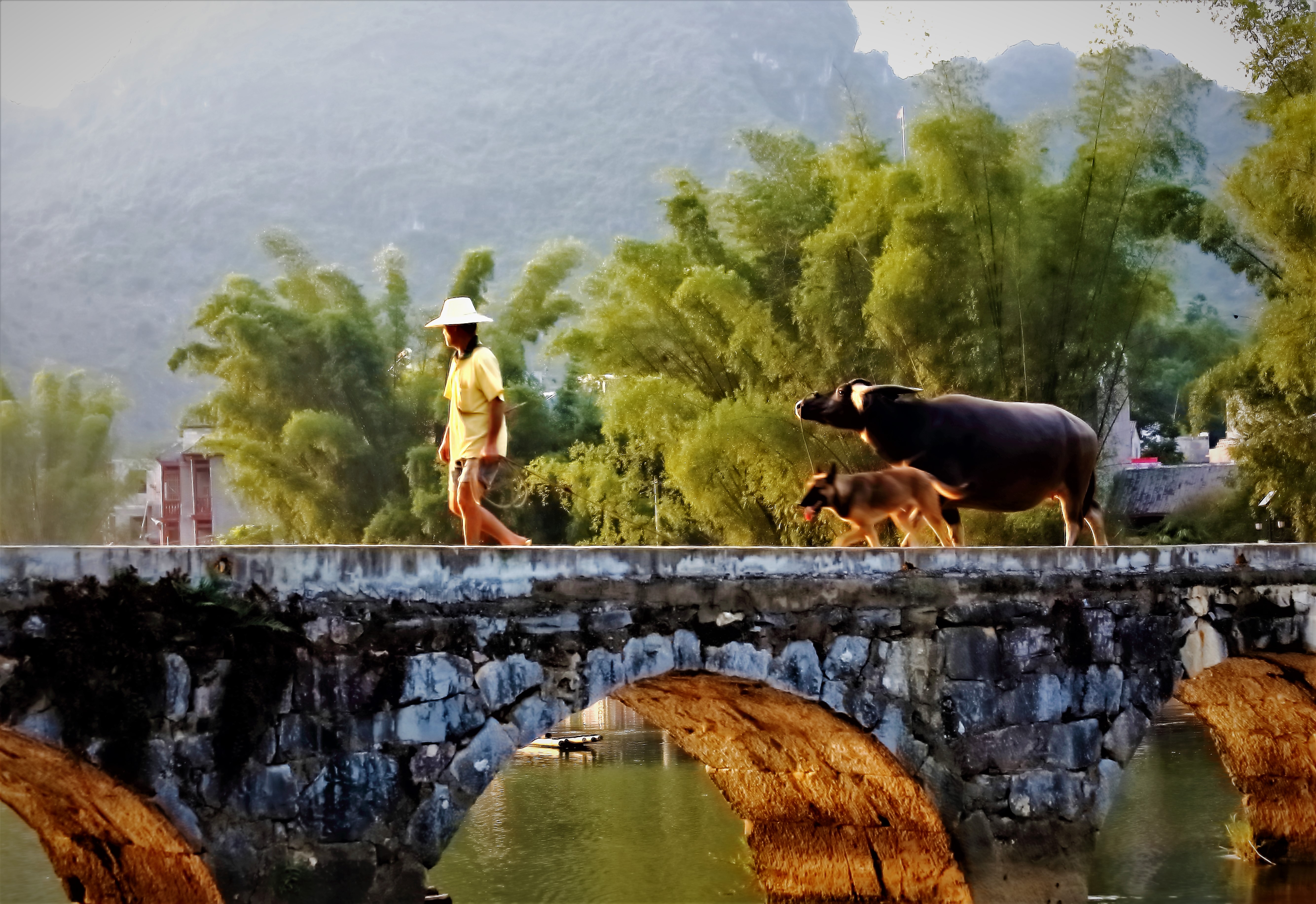 由 雄鹰18 于 2019-4-10 14:52 编辑    夕阳下抓拍一农民放牧归耒