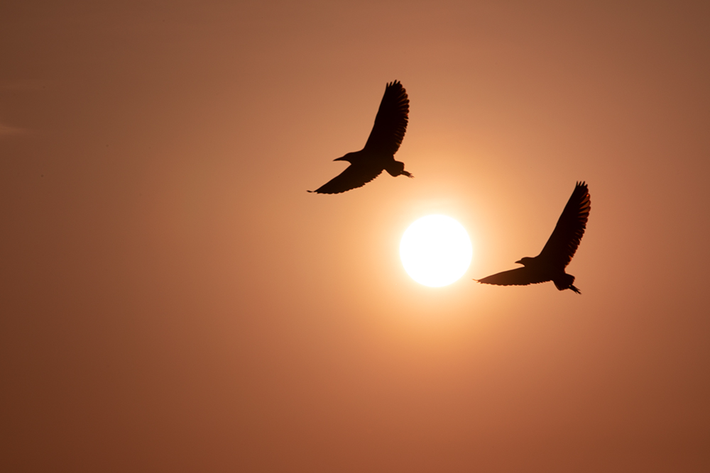 4江西象山,傍晚,叠片完成.