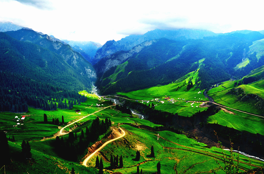 星罗棋布的哈萨克毡房,山上山下高大挺拔的 .