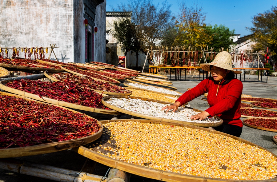 晒秋的女人,2018年11月24日摄于安徽歙县呈坎村.