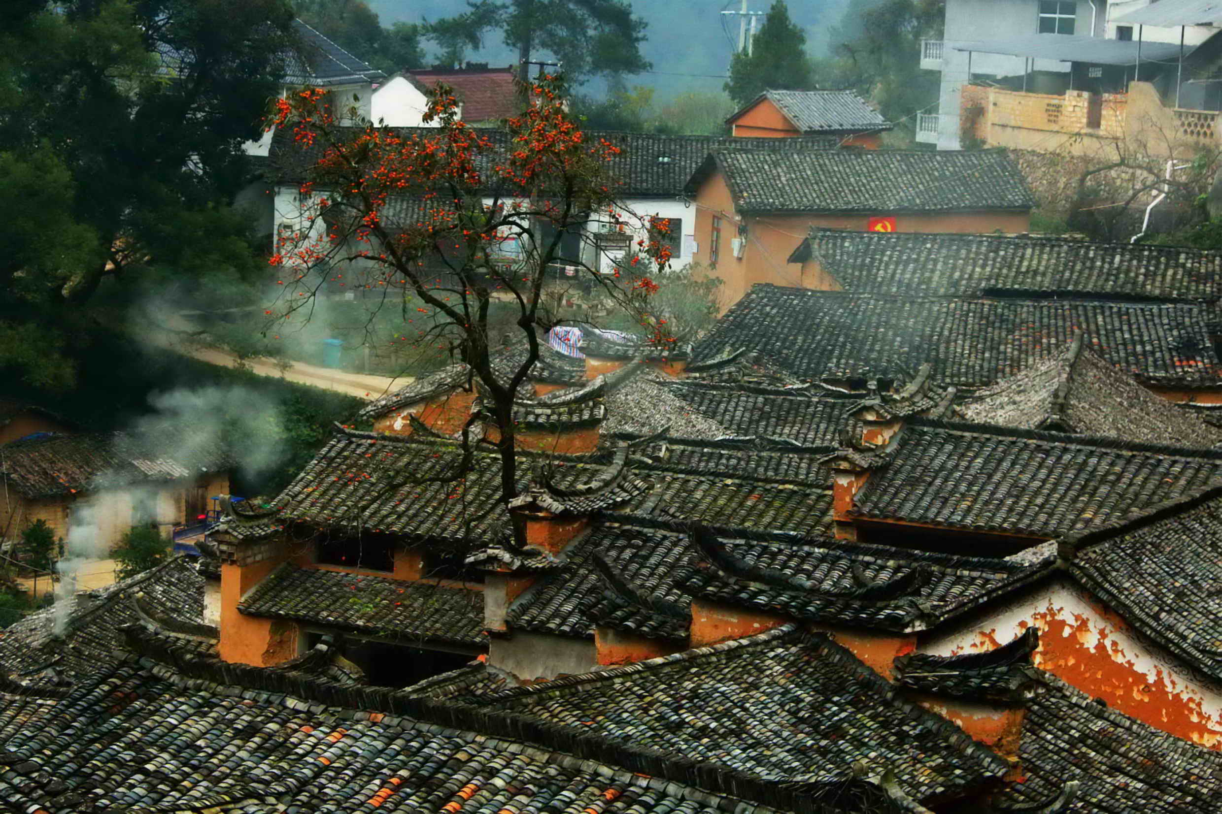 20161204 浙江丽水杨家堂村 作者 张锦红 电话13957991886 图说 图说