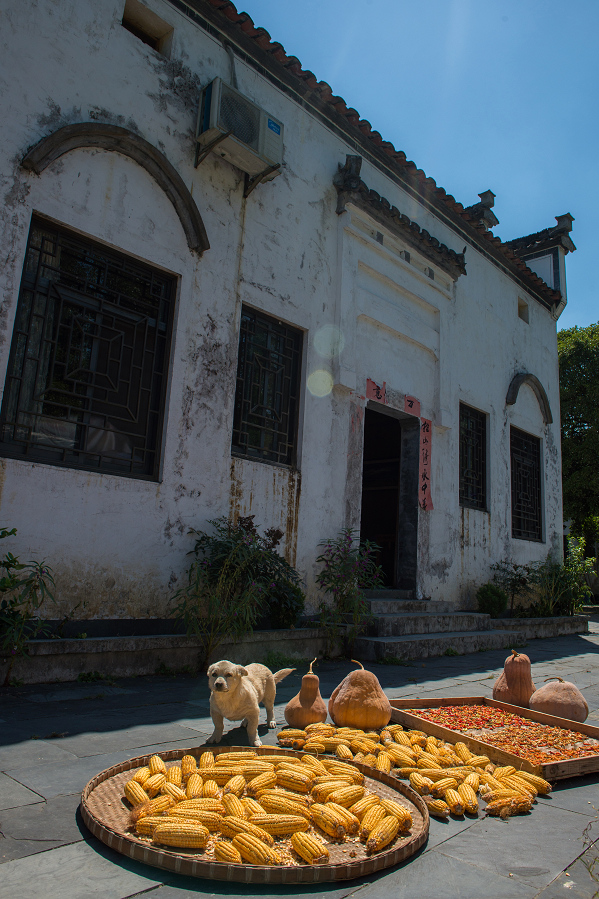 09.09 安徽省黄山市黟县柯村.jpg