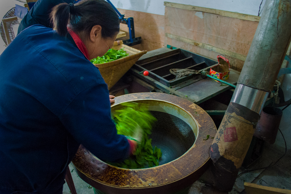太平猴魁茶制作工序