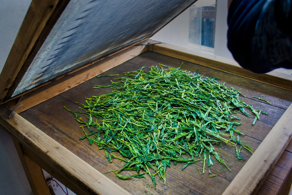 太平猴魁茶制作工序