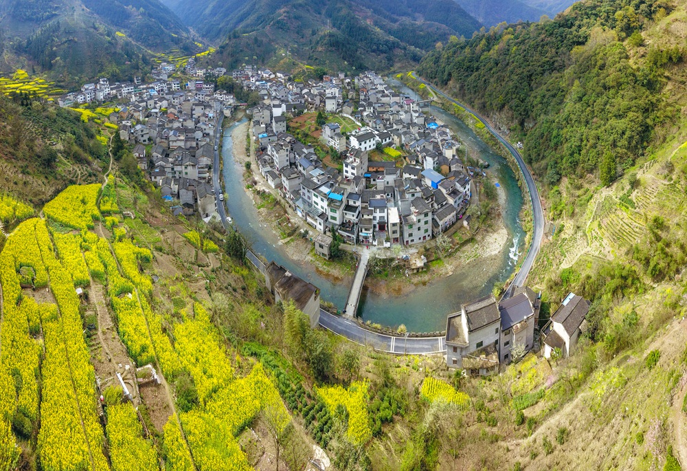 《金色庙前》歙县庙前村风光