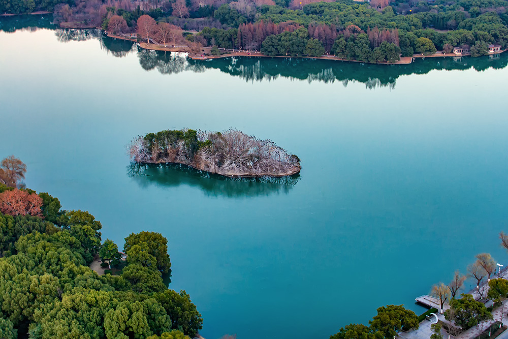 雨山湖鸟岛