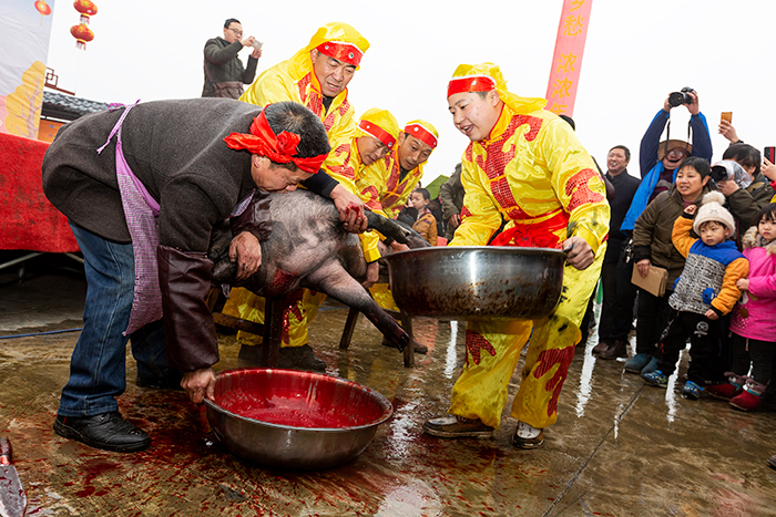 屠户正在宰杀黑猪