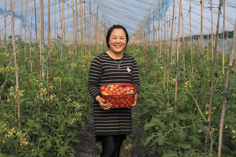 农村女能手的丰收喜悦