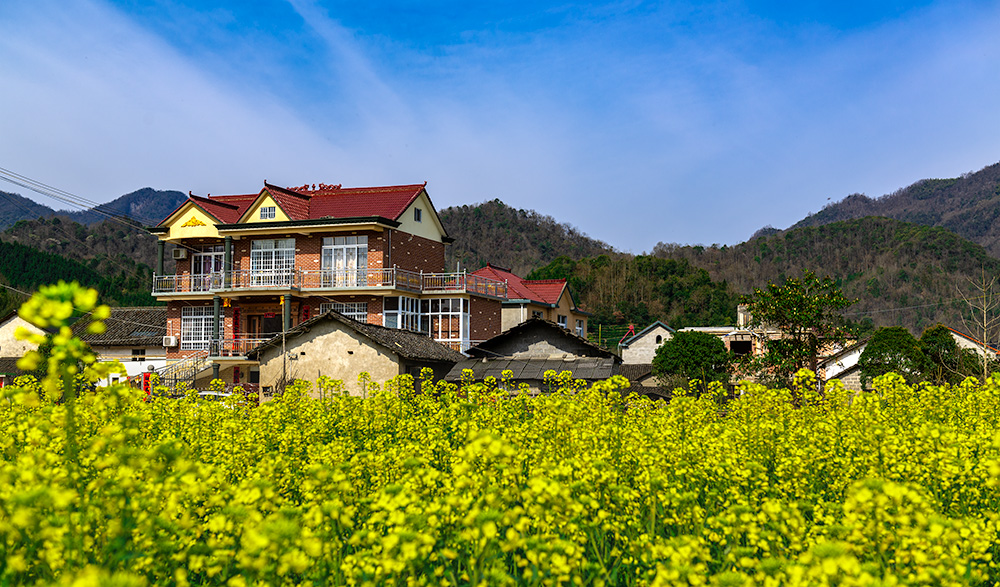 石台县琏溪村,实属花中美村.小 (2).jpg