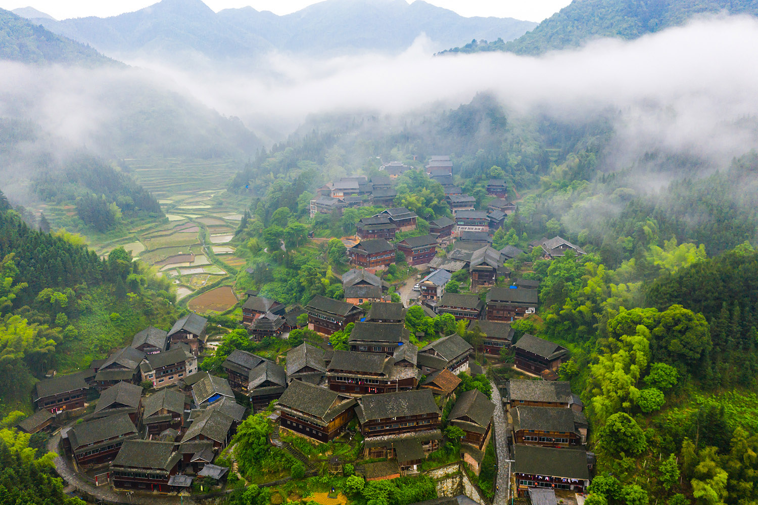 芋头古侗寨:轻纱薄雾入画来