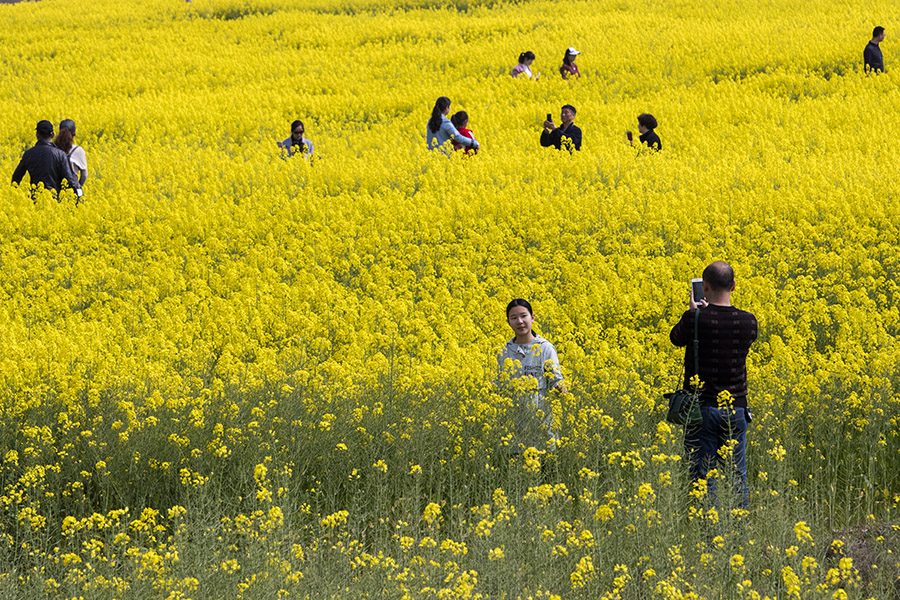城里人的乡村游