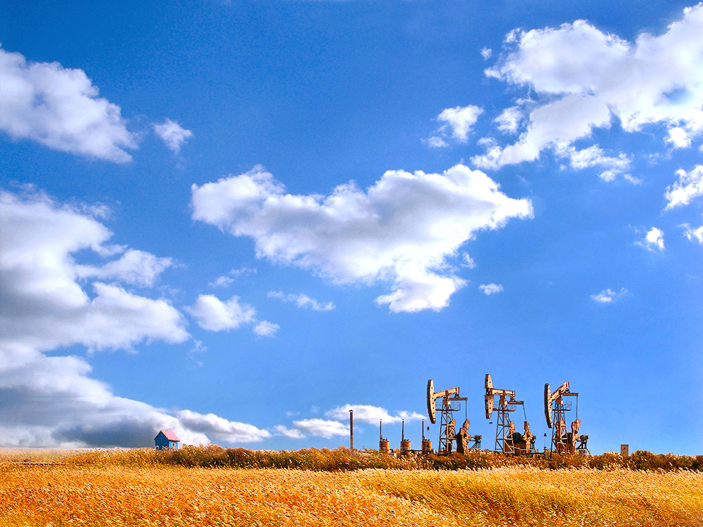 拍摄于盘锦油田