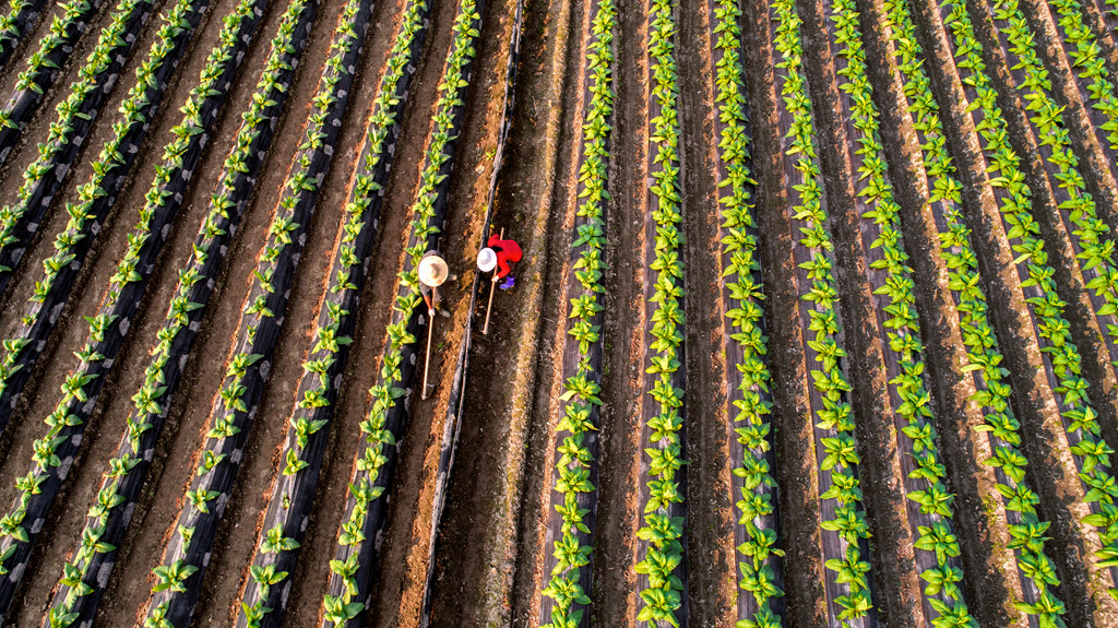 耕耘-中国第二届扶贫公益摄影大展投稿区-大众摄影网