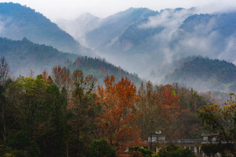 车八岭冬日山林