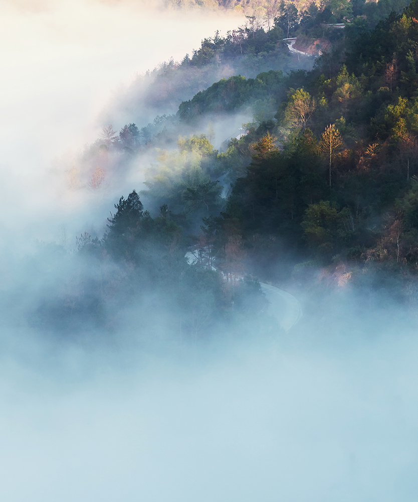 标题:《山岚 》