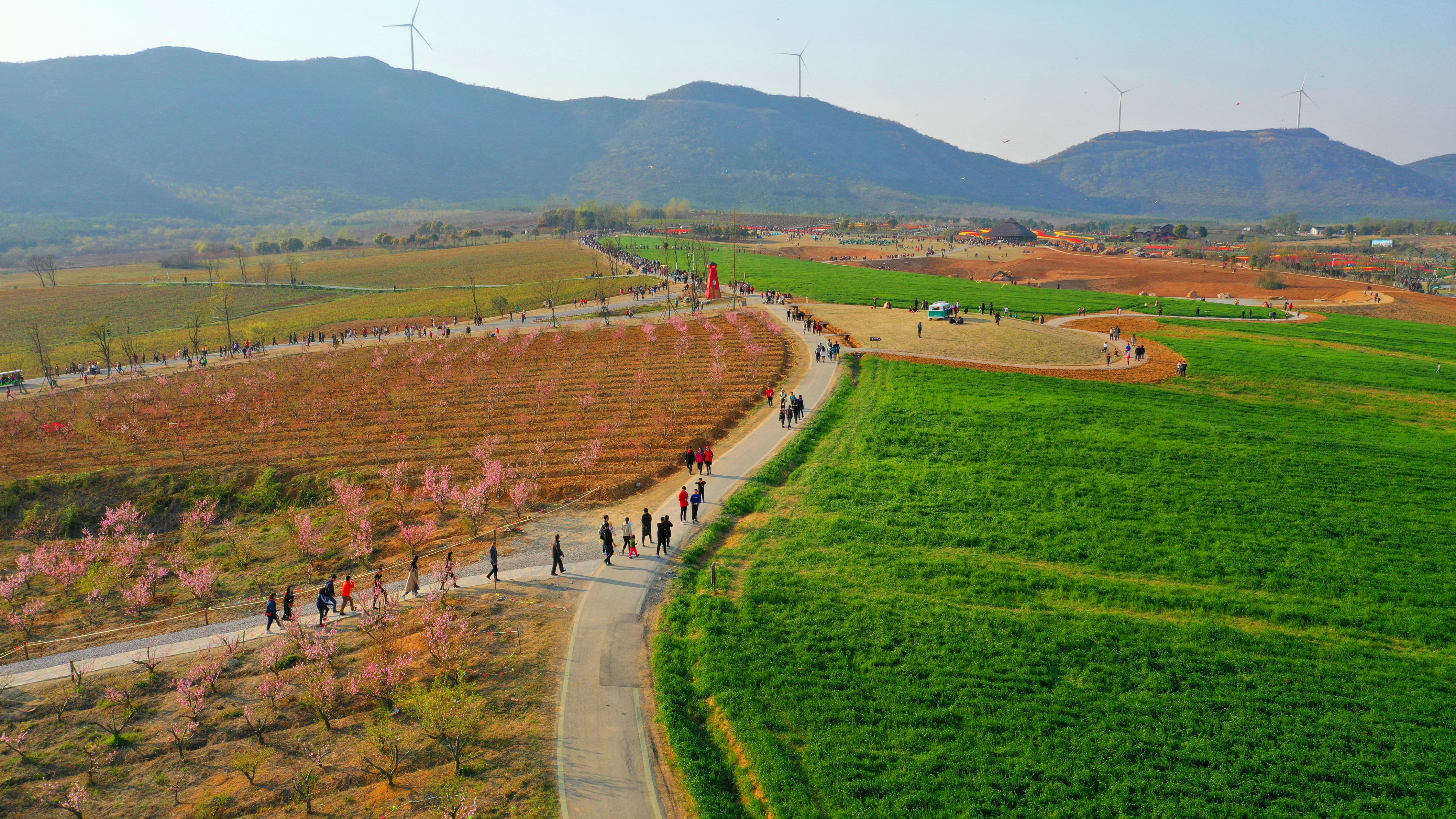 作品名称:安徽巢湖:三瓜公社郁金香绽放 游客纷至沓来