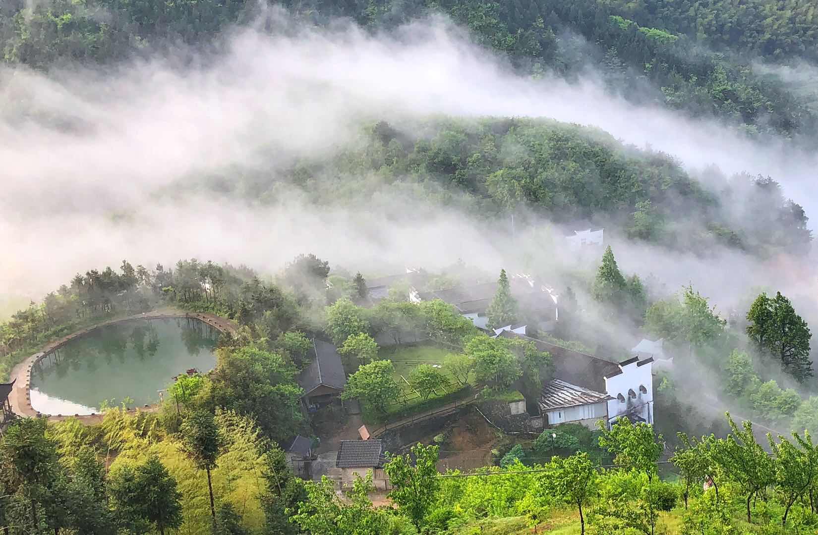 松阳四都寨头村晨雾