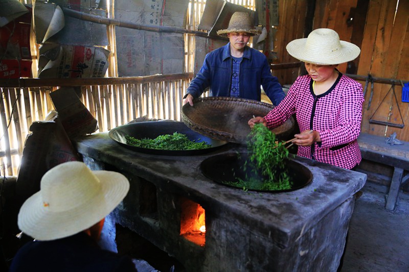 茶叶铺平小康路