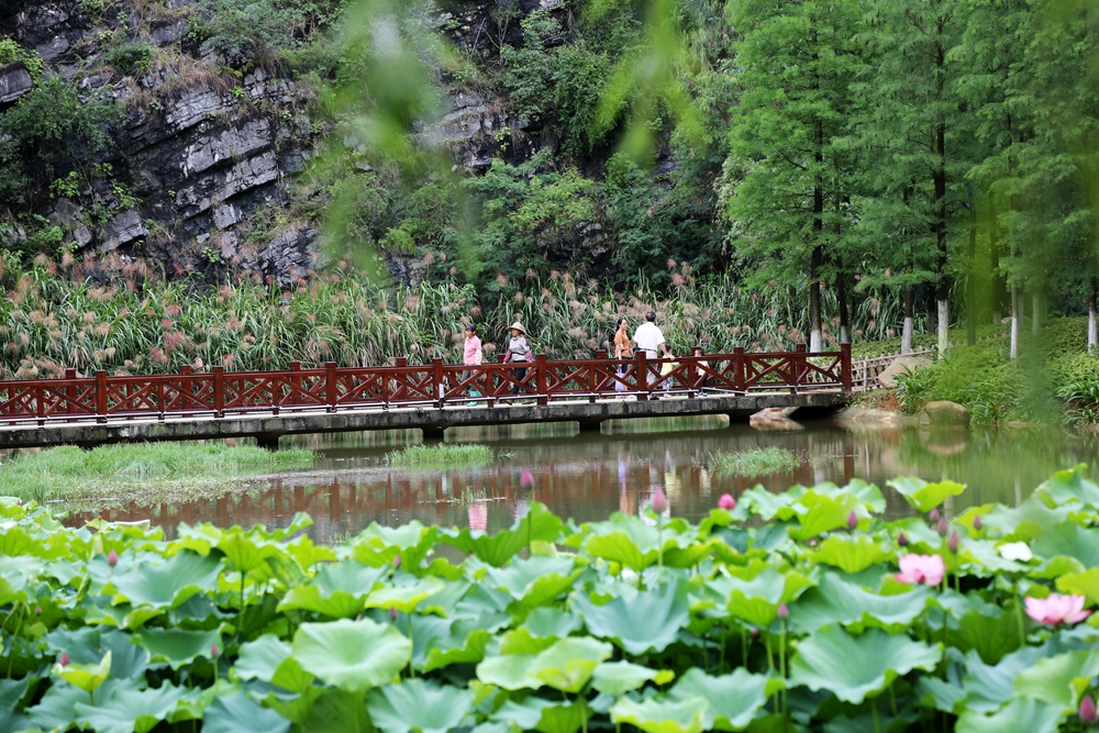 《芙蓉山新貌》组照