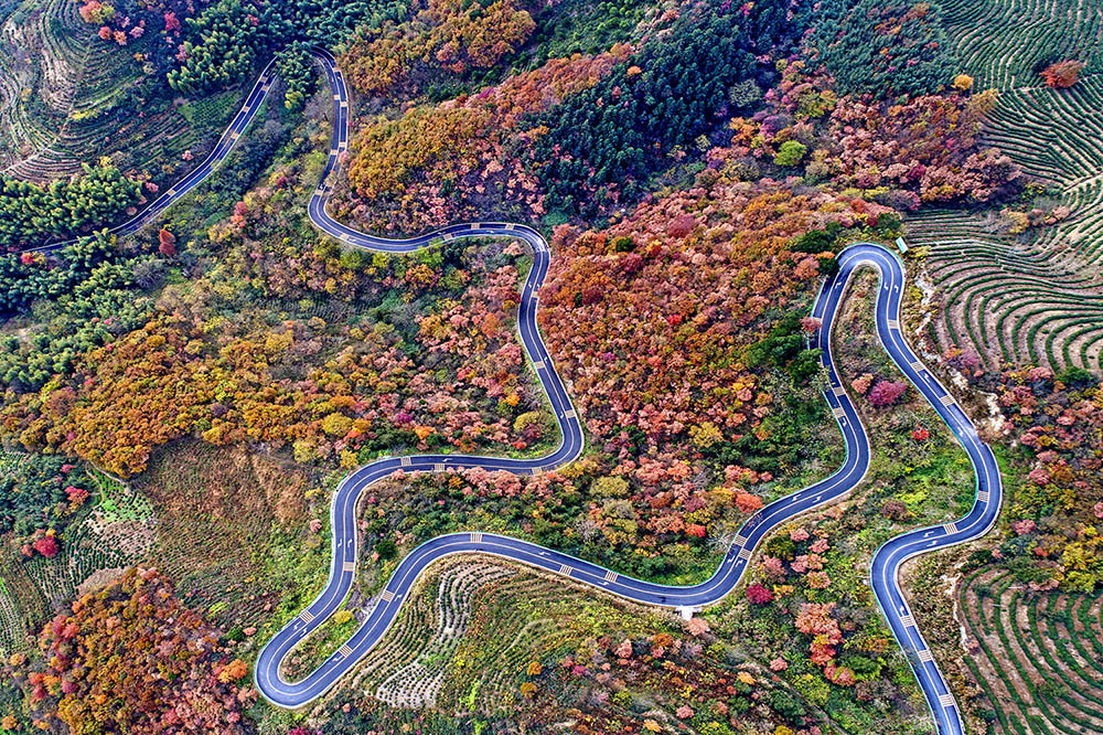 七彩山路(组照)