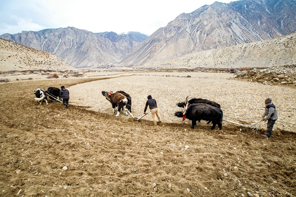 《贫瘠的土地 勤劳的人民》(组图-8)