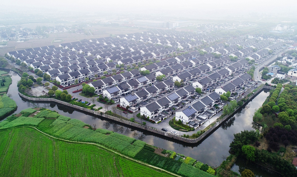 4.14拍摄于江苏张家港金村.