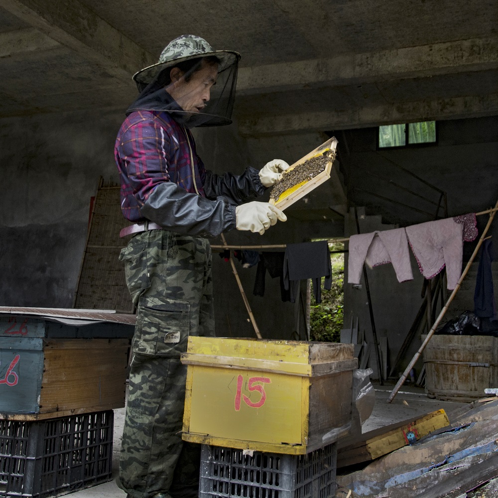 养蜂人 www.pop-photo.com.cn