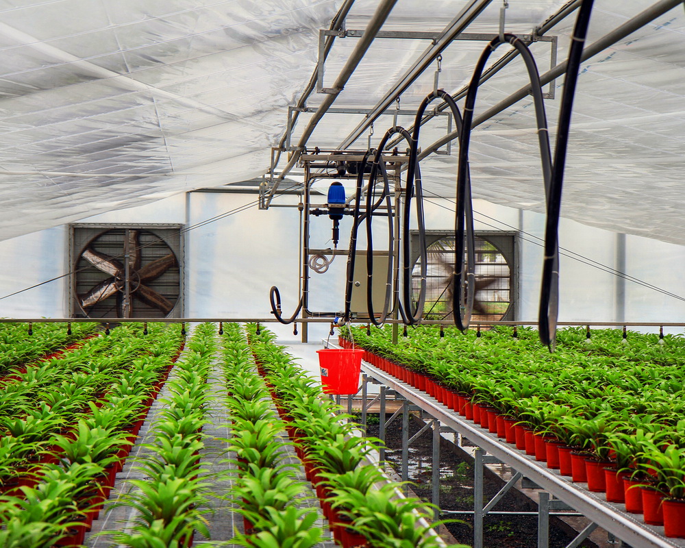 育苗机械化(组照)