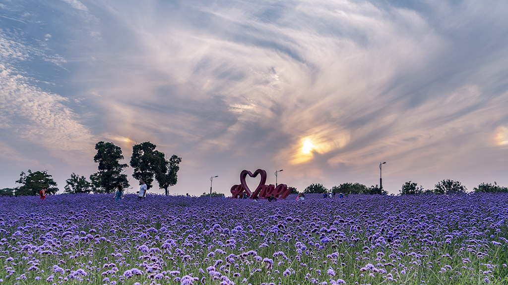 苏州西京湾之夏