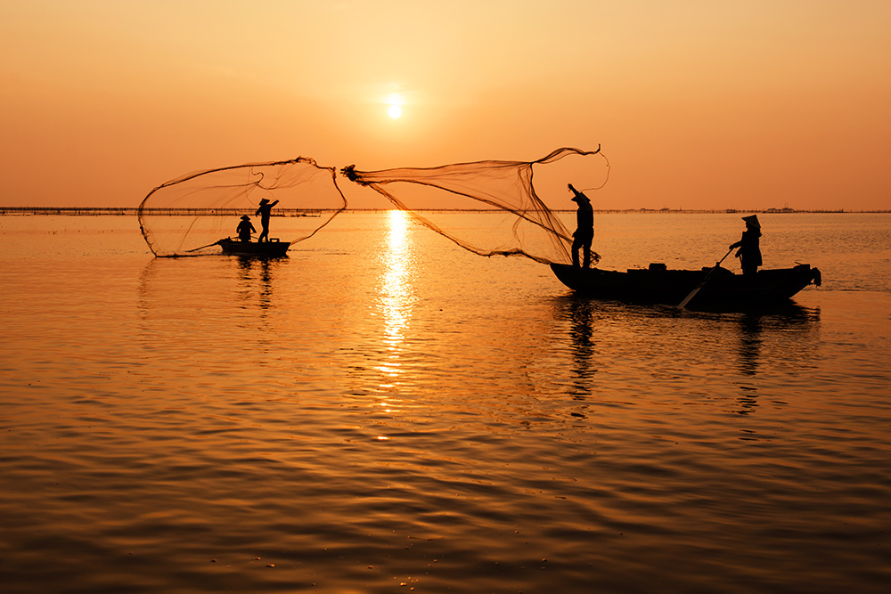 夕阳西下,湖光水色一片金黄,渔民们正在撒网捕鱼,收获金色的希望.