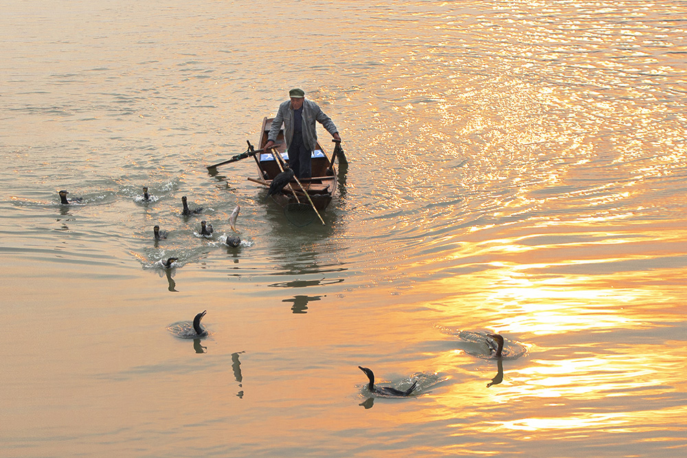 一位,渔翁带着他的鸬鹚下湖捕鱼