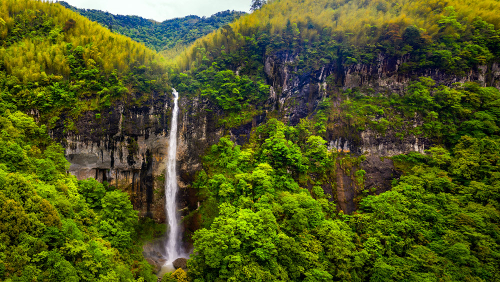 高山流水心连心