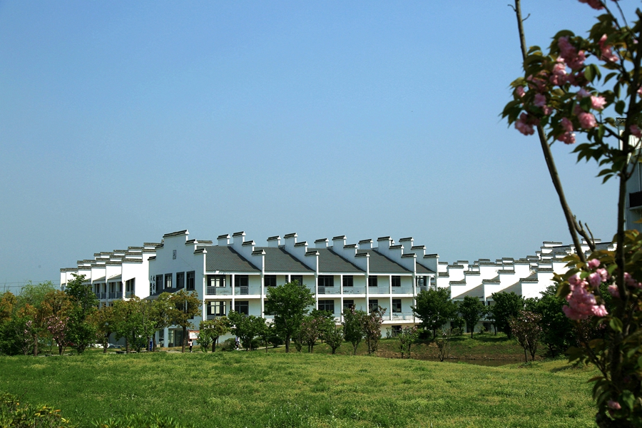 20170407拍于马鞍山桃花村